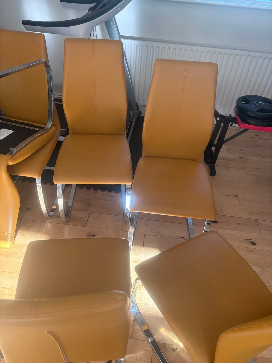 Dining chairs - Image 1