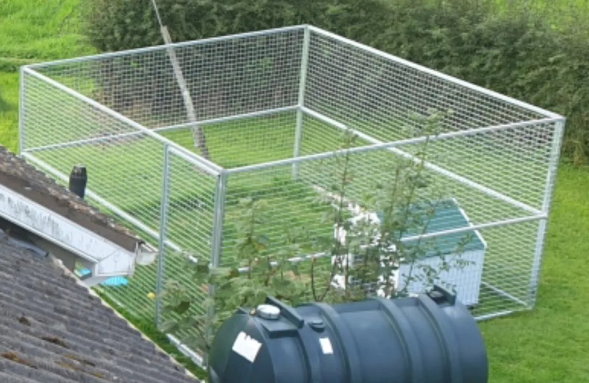 Dog Run 3.4m x 3.4m for Large Dog - Image 1