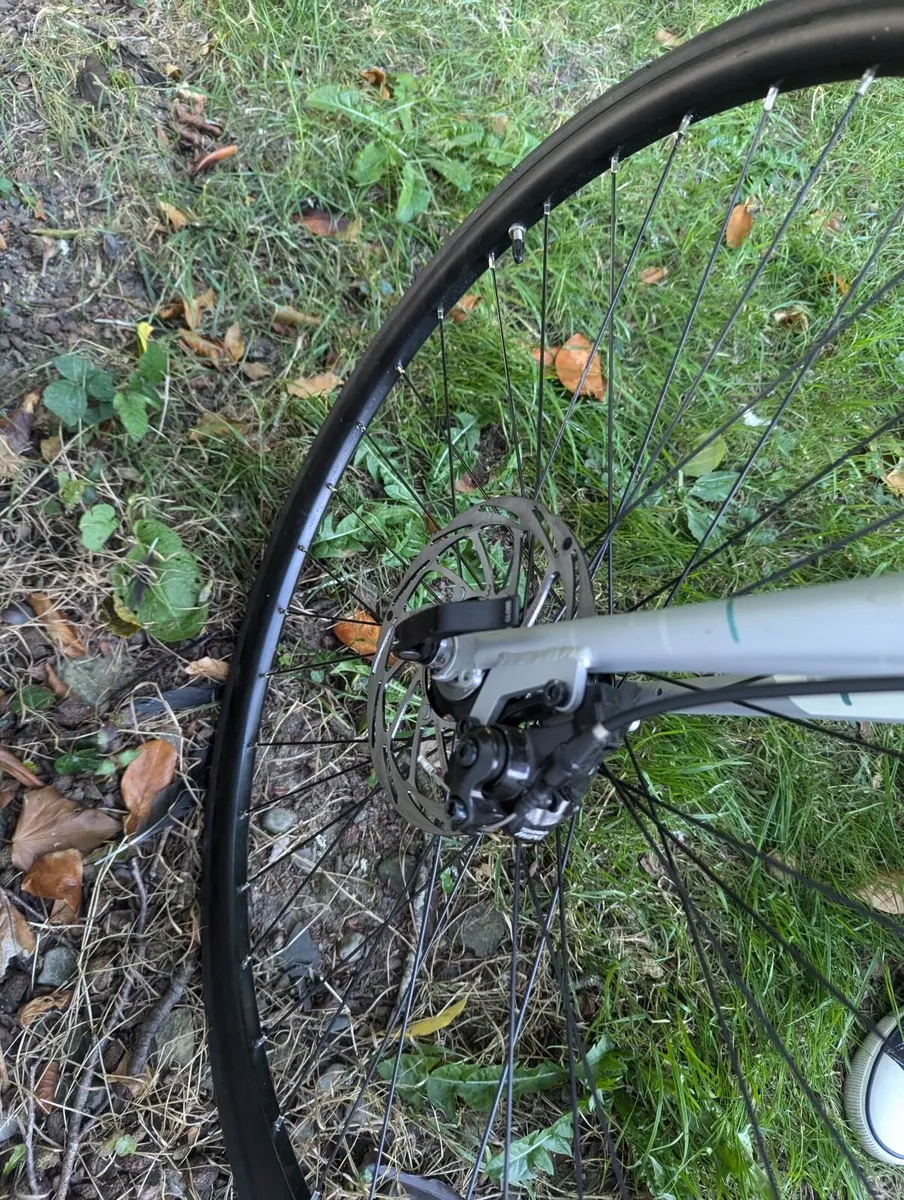 Bike - Image 4