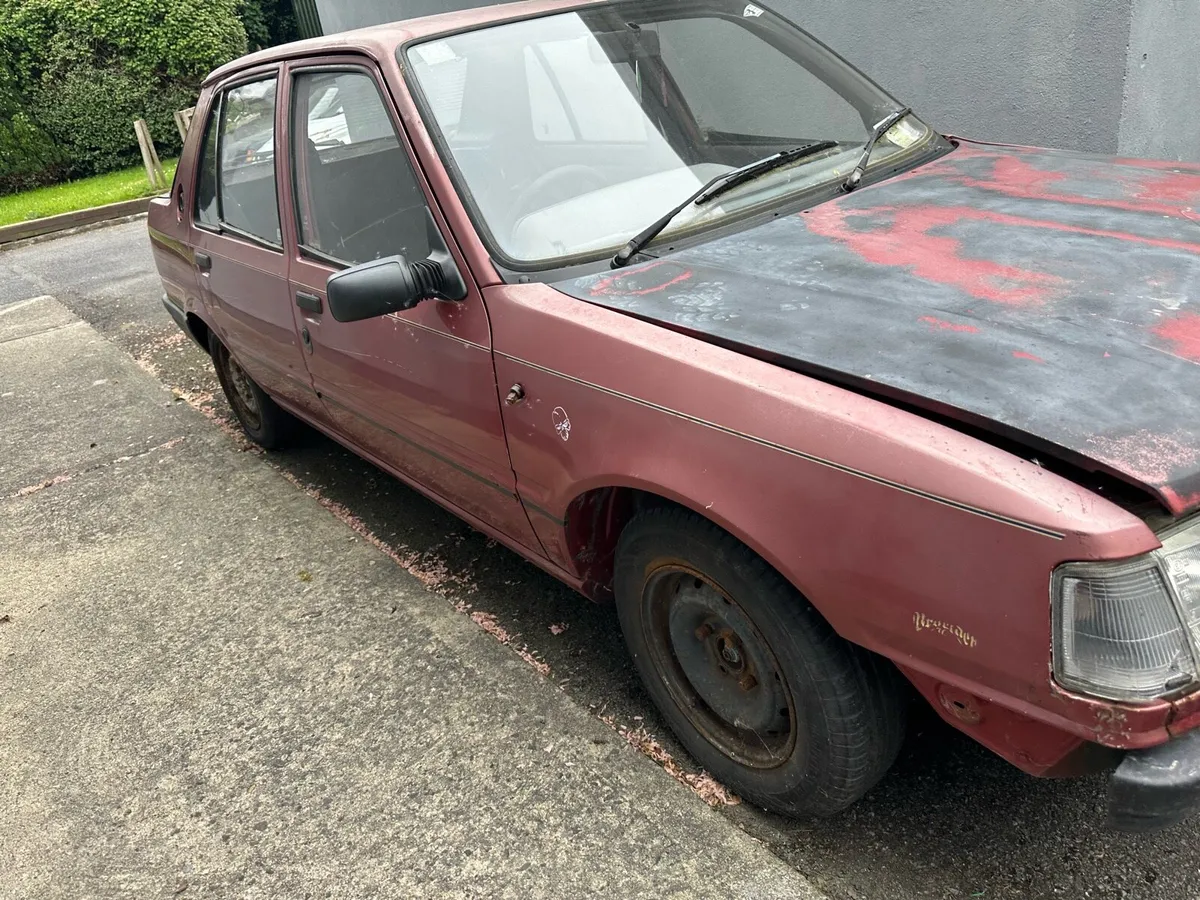 Peugeot 309 - Image 2