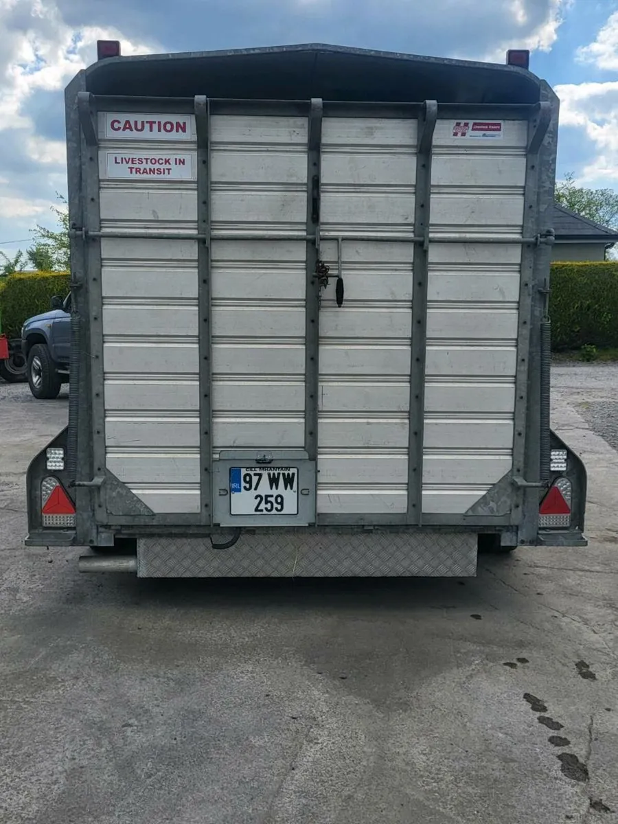 14ft trailer - Image 4