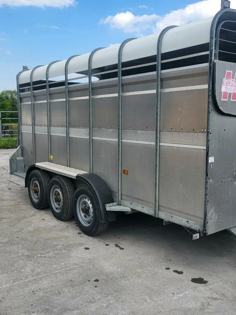14ft trailer - Image 1