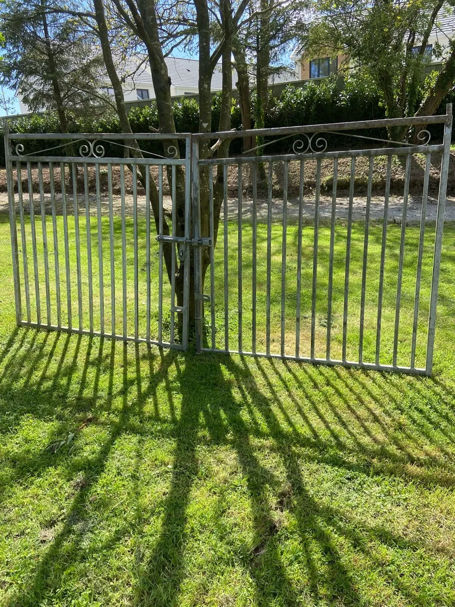Galvanised 12’x6 ‘ gates - Image 1