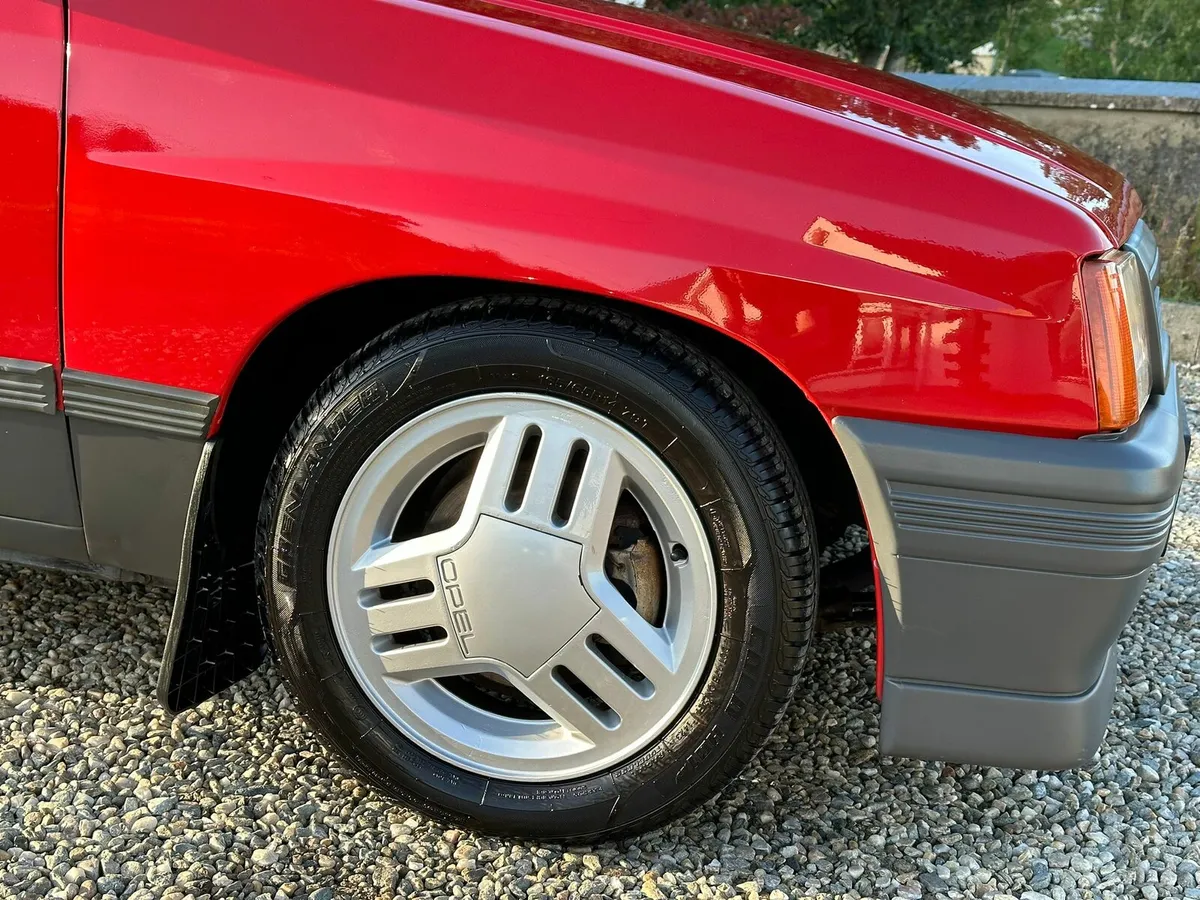 Nova corsa - Image 4