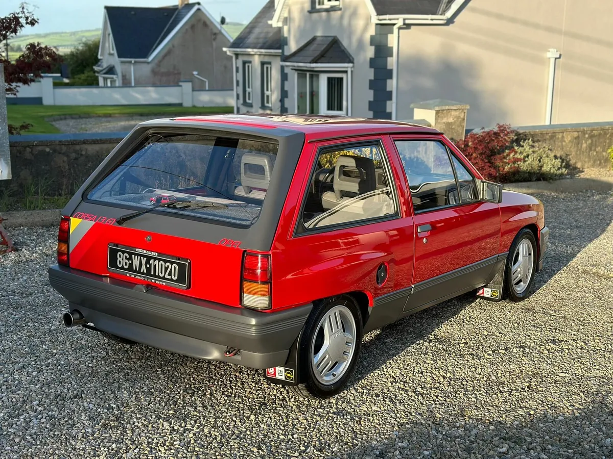 Nova corsa - Image 2