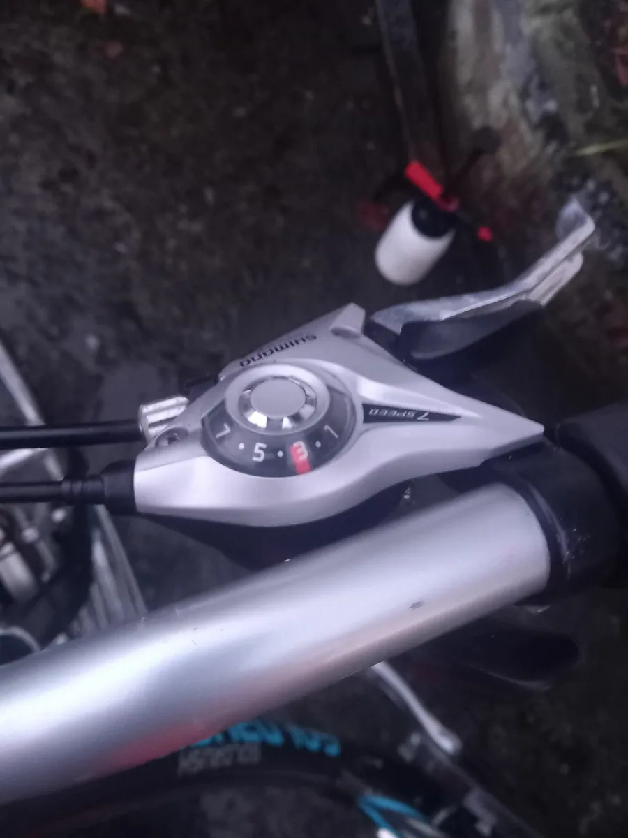 Bike - Image 1