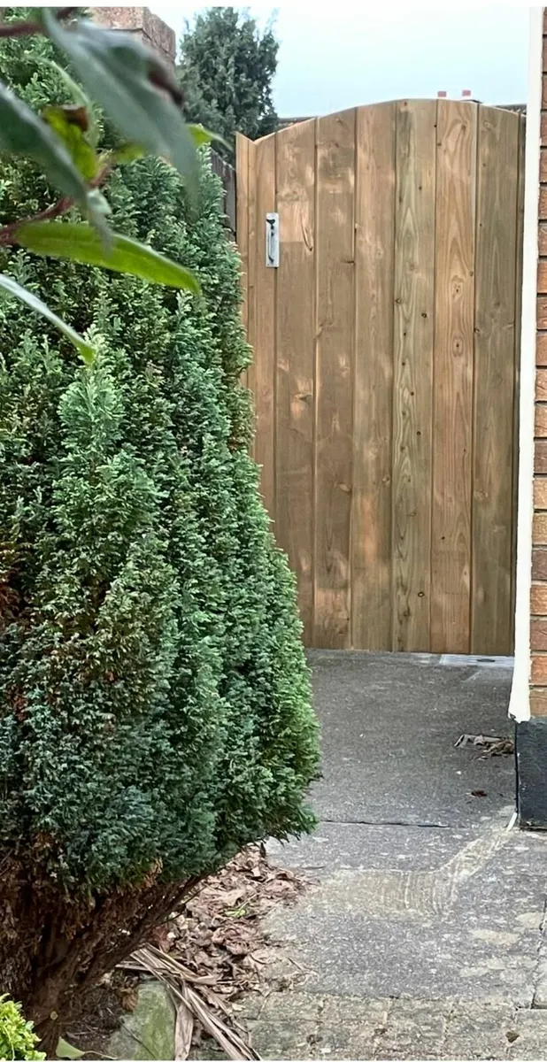 Wooden Gates and Fencing - Image 4