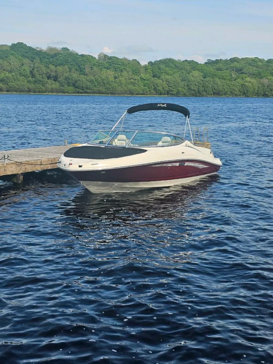Sea Ray 210 Select 2007 bowrider speedboat - Image 1