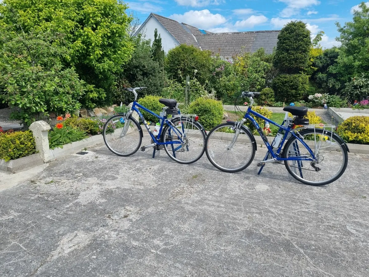 2 claude butler hybrid bicycles - Image 3