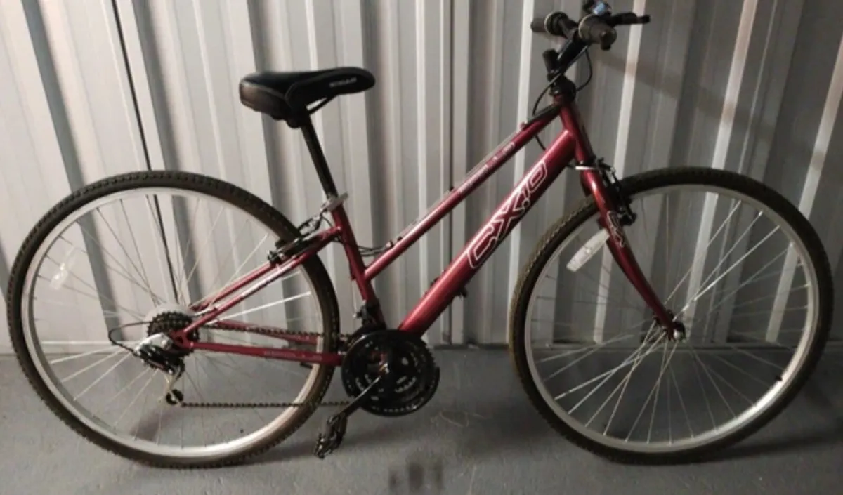 Ladies bicycle for sale .