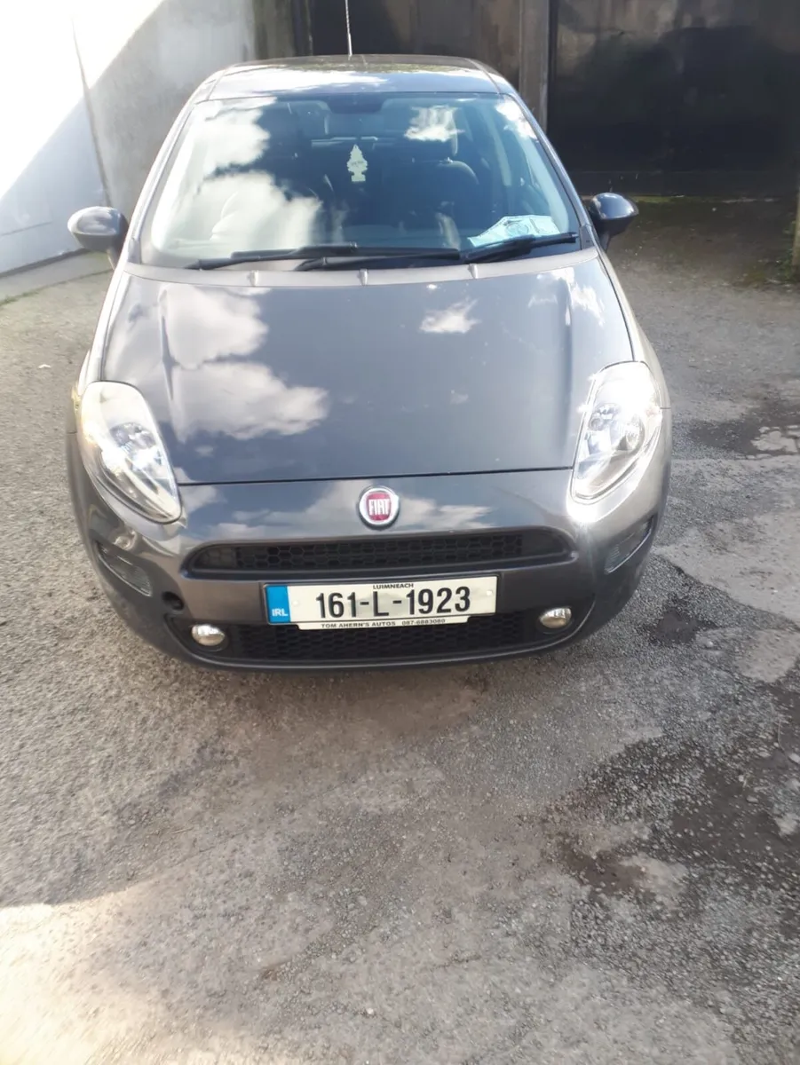 Fiat punto - Image 1