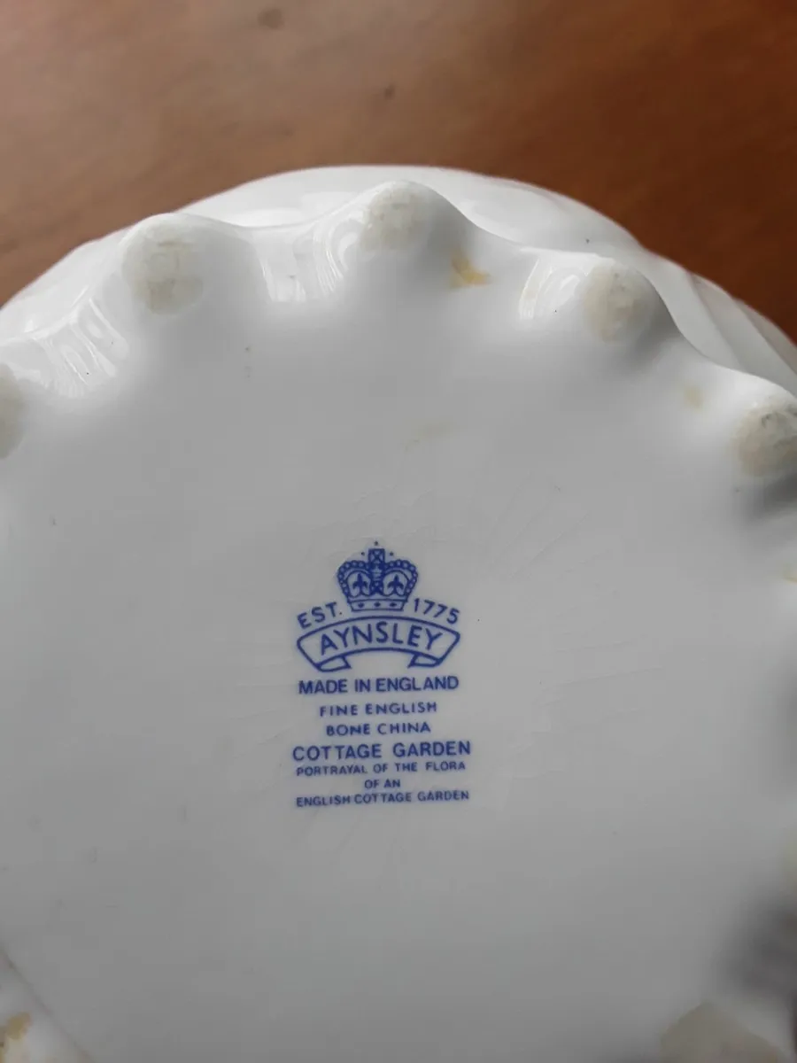 Asnsley   collectible bone China plant pot - Image 2