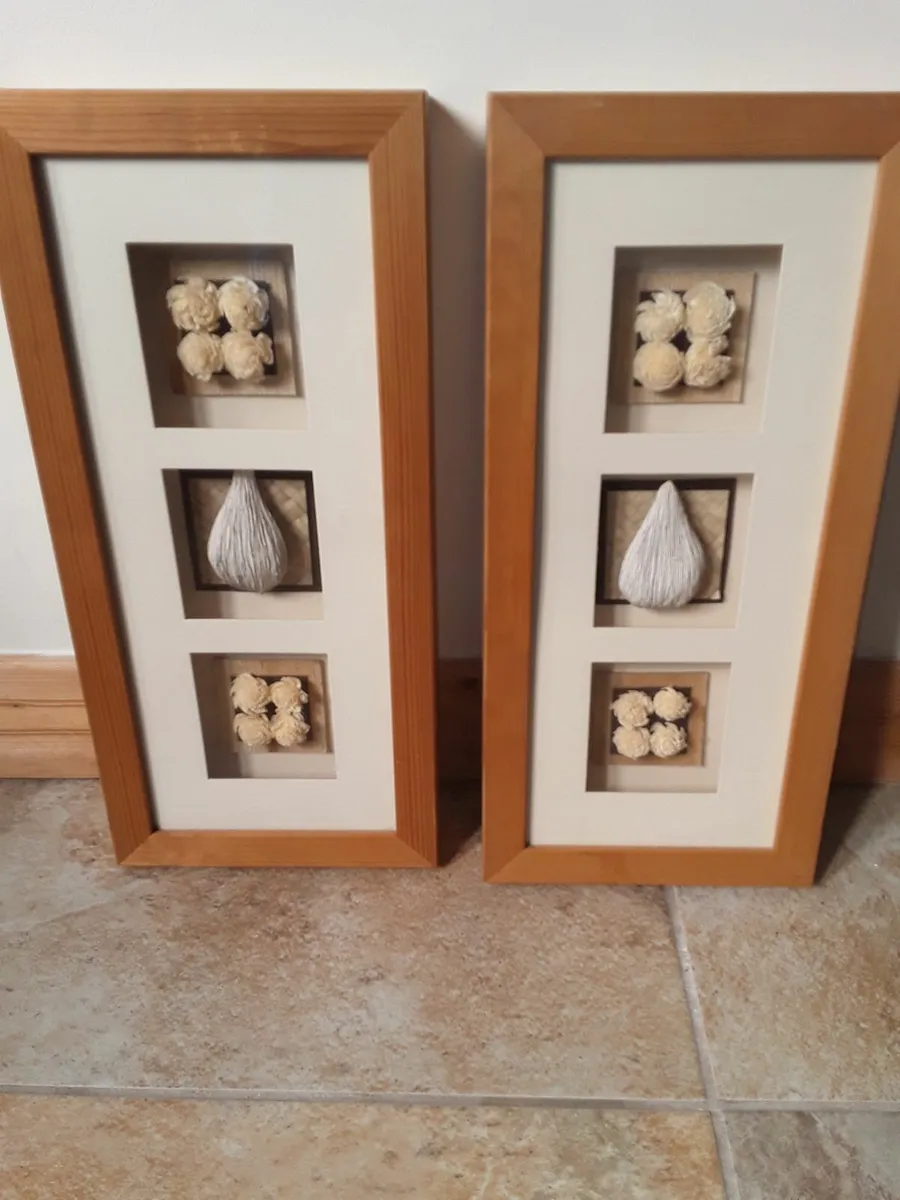 2  lovely decorative plants in glass frame - Image 1