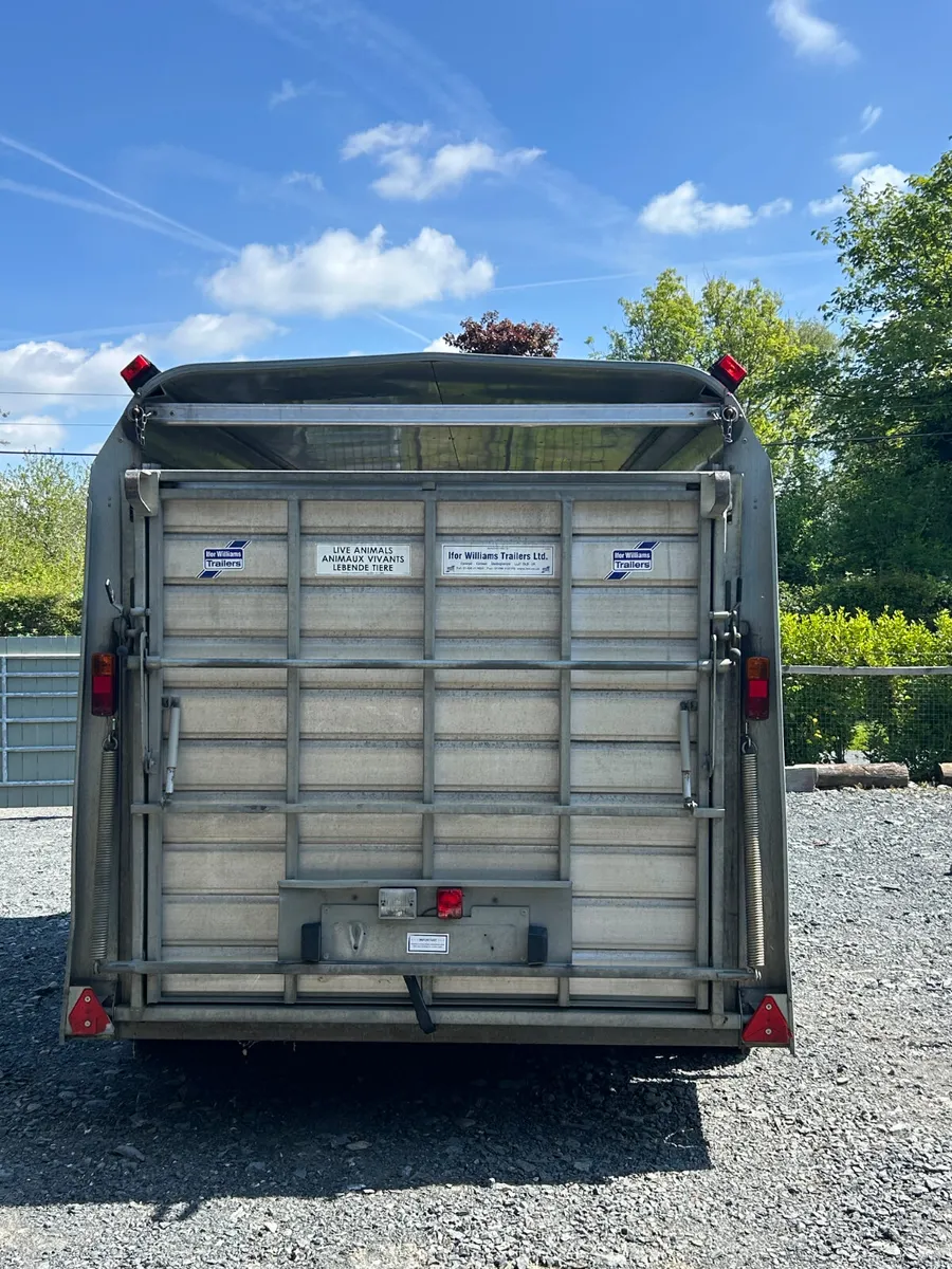 2016 Ifor Williams Ta510 12ft Livestock Trailer - Image 3