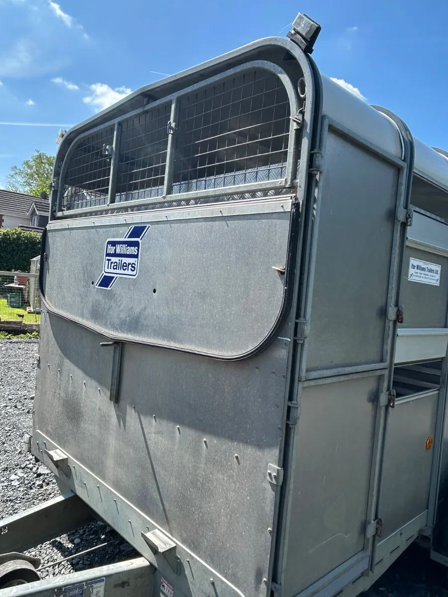 2016 Ifor Williams Ta510 12ft Livestock Trailer - Image 4
