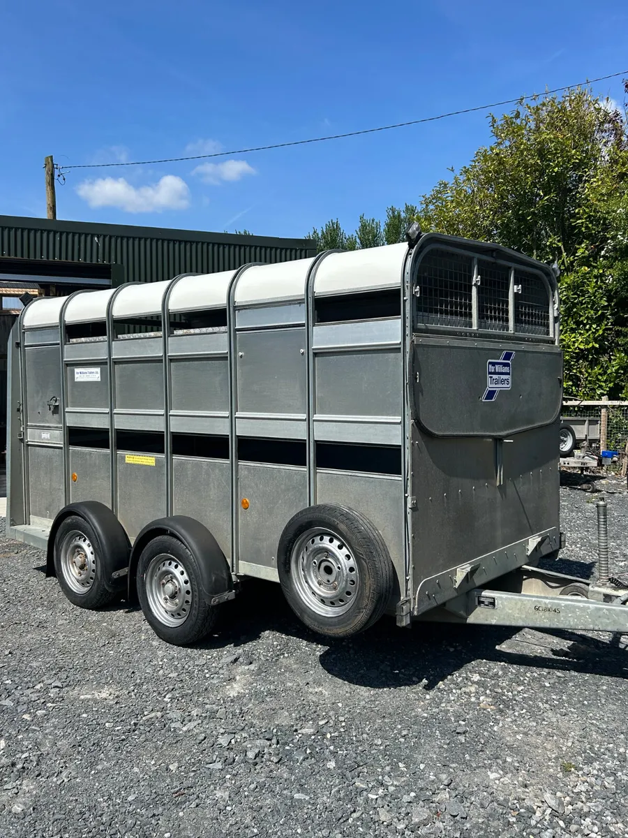 2016 Ifor Williams Ta510 12ft Livestock Trailer - Image 2