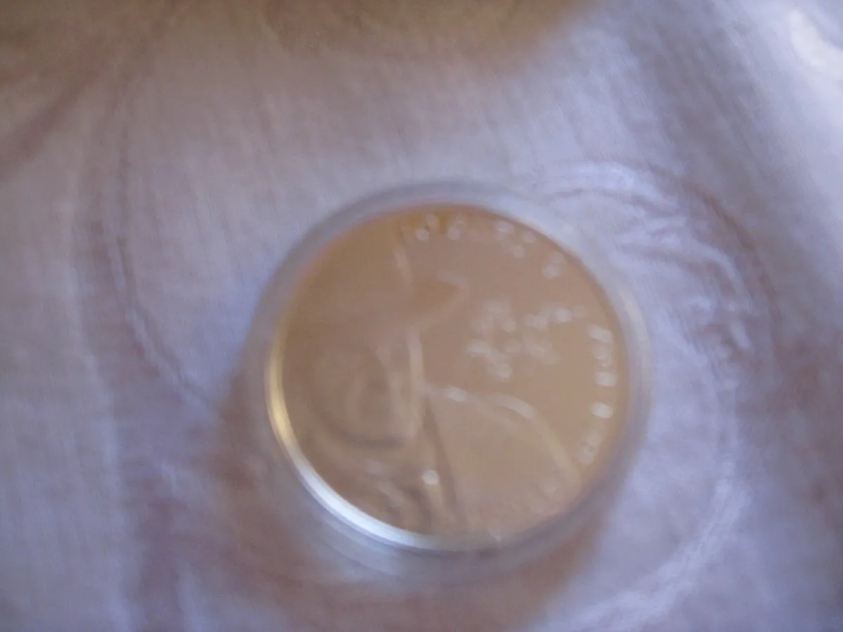 2012 €10 Silver Proof Coin -Jack B Yeats - Image 4