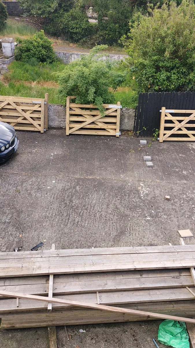 Entrance gates - Image 1
