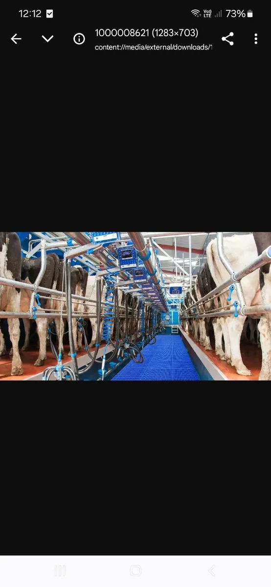 Relief milker - Image 2