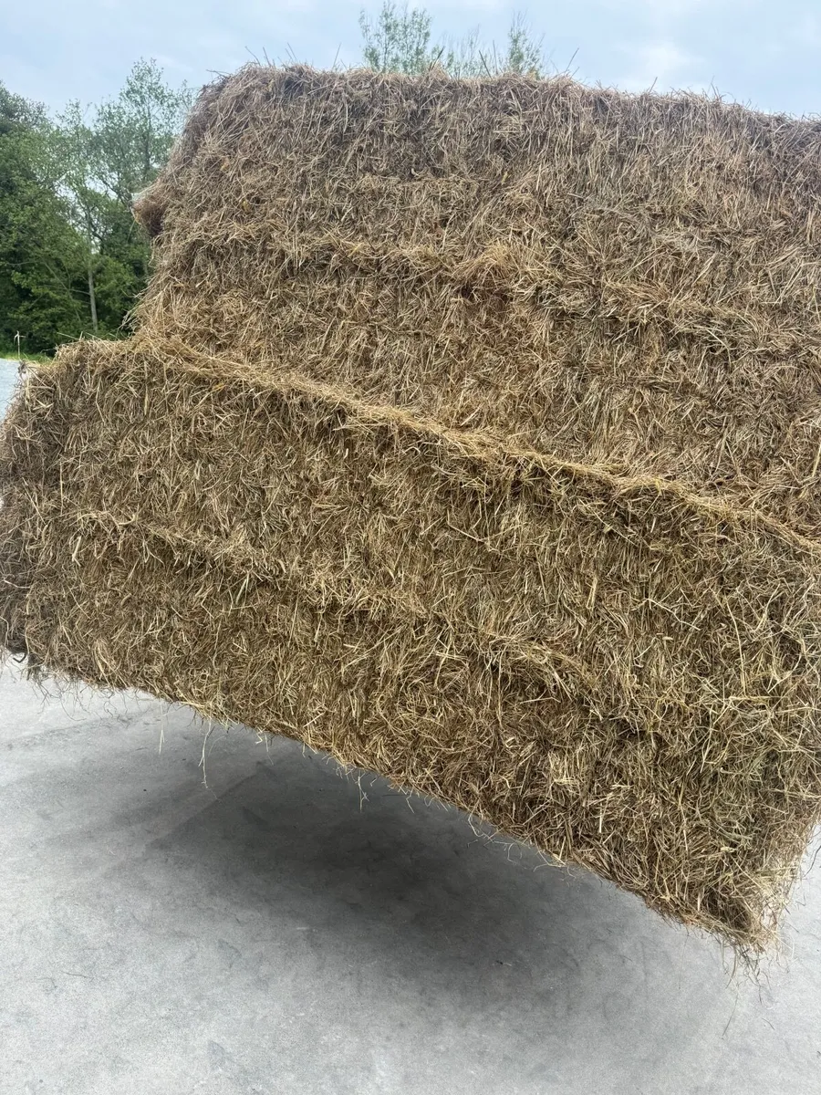 Good quality Hay forsale - Image 4