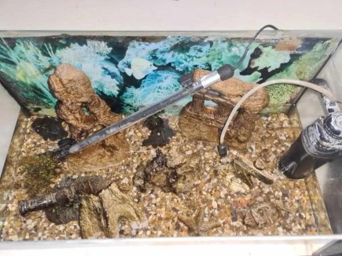 20lt fish tank - Image 1