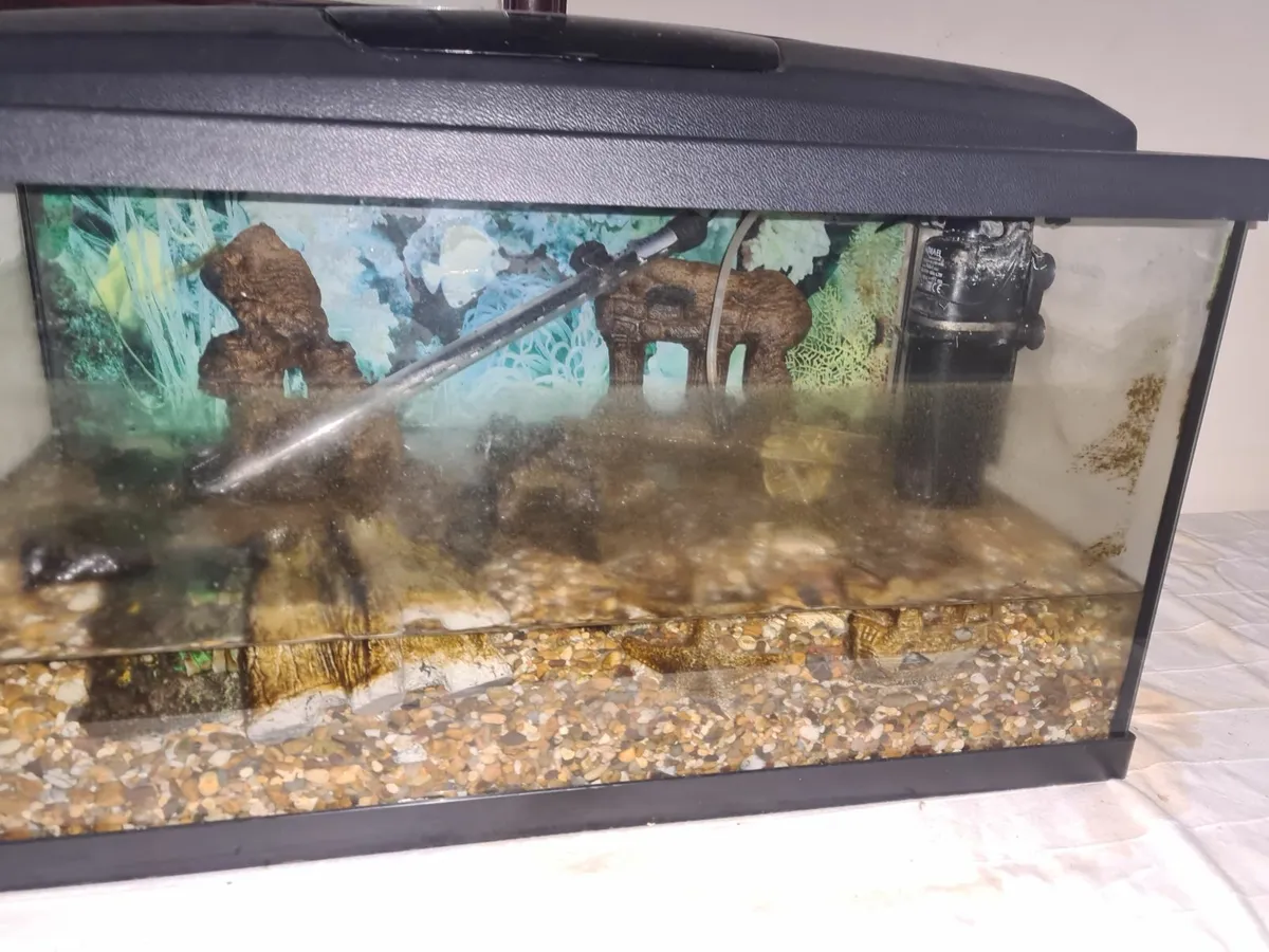 20lt fish tank - Image 2