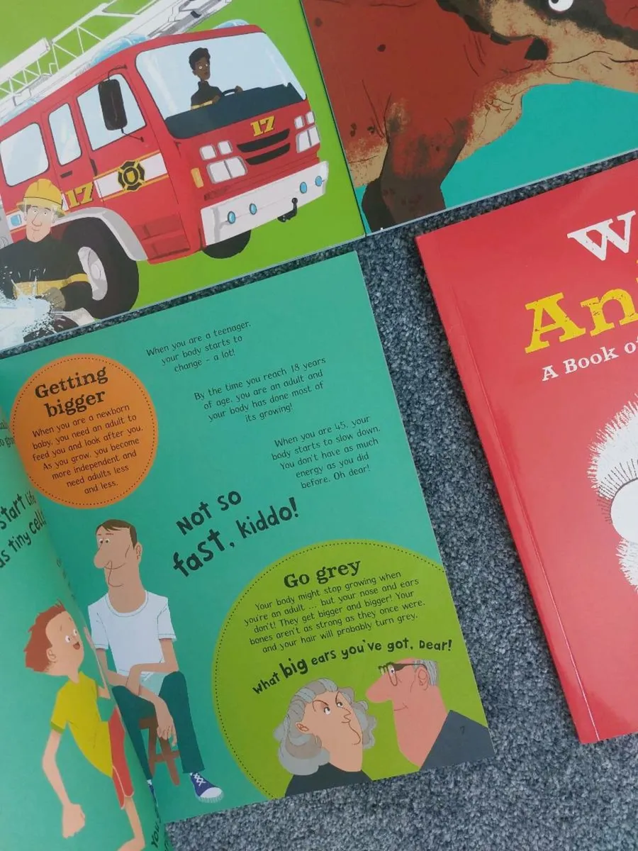 Books x 4 - Image 2