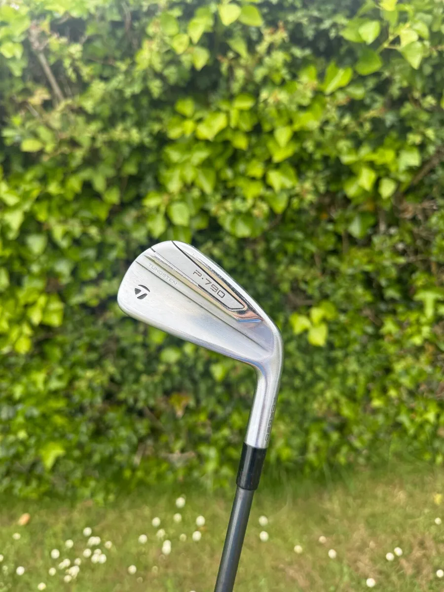 Taylormade P790 2 iron - Image 1
