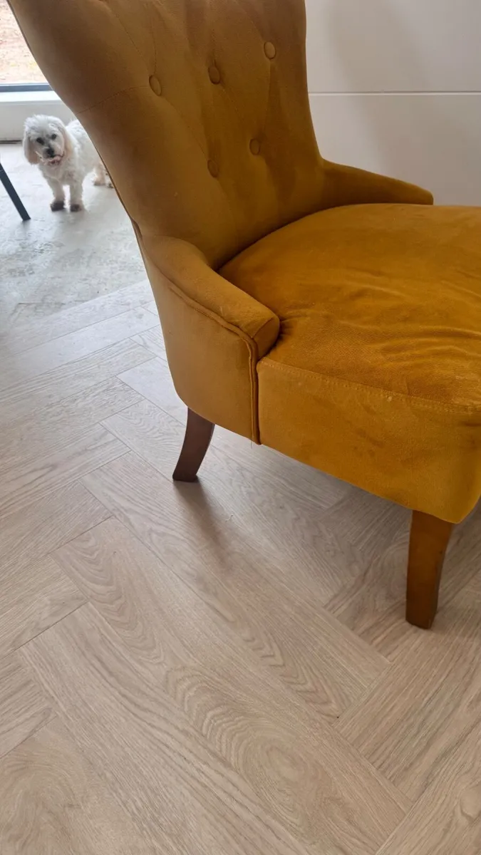 Chair furniture - Image 1