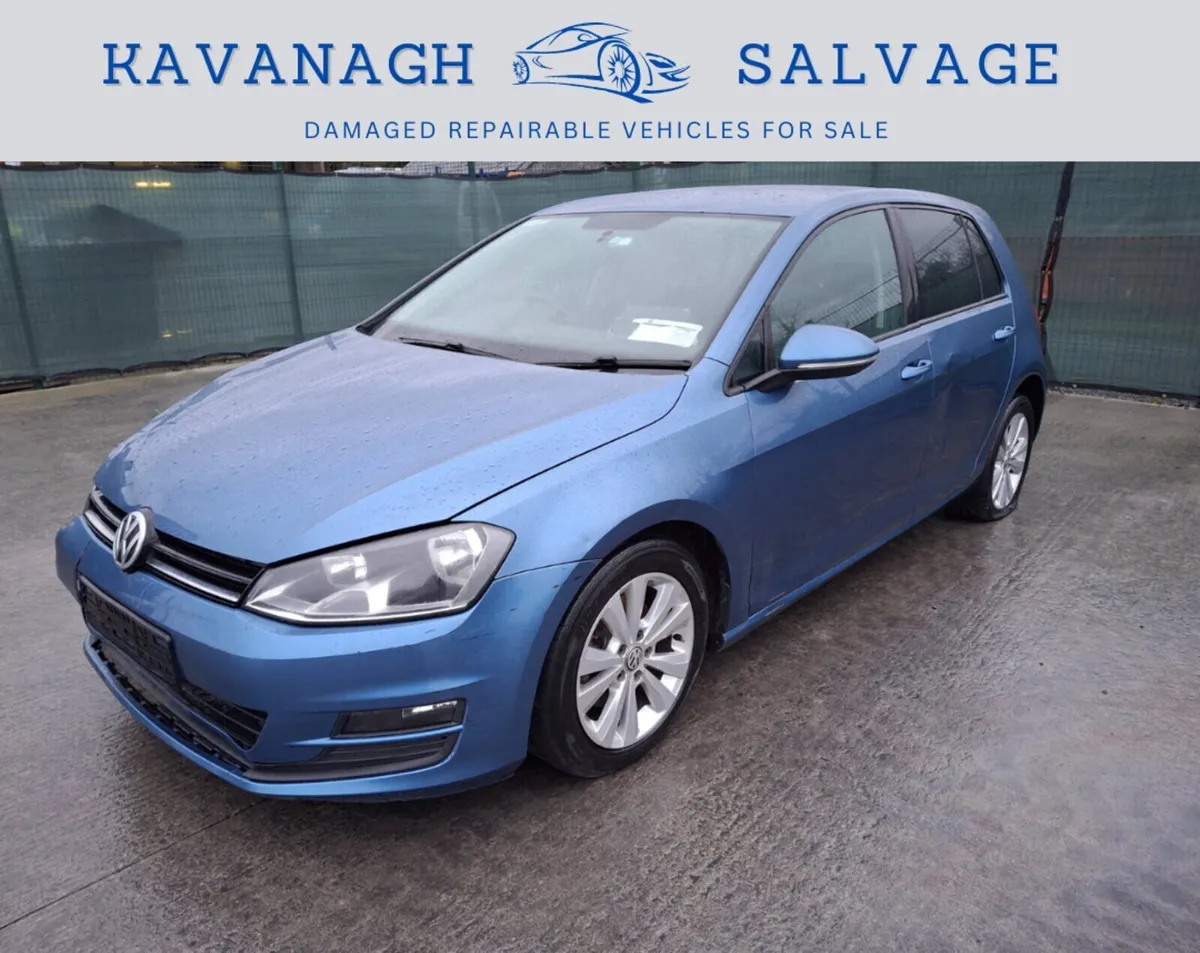 132 VW Golf 1.6L TDI - Image 1