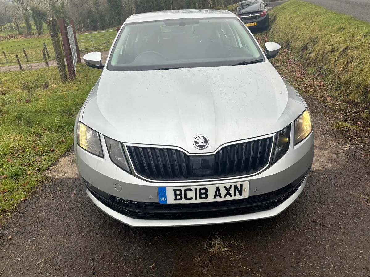 ‘18 Skoda Octavia Tdi Se Technology (LOW NOX) - Image 1