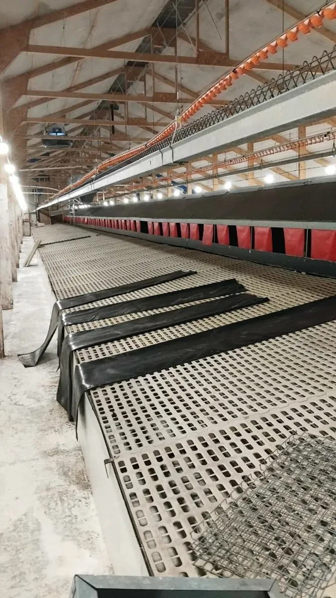 Poultry Equipment + Egg packer - Image 1