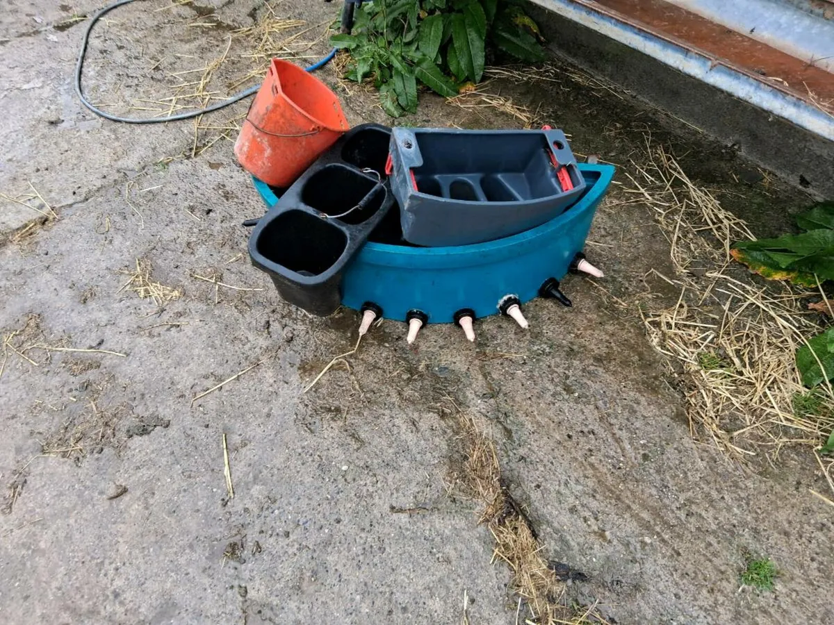 Milk  feeder - Image 1