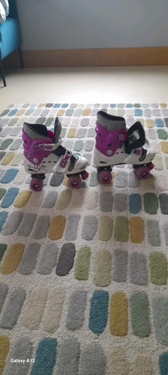 Skates - Image 1
