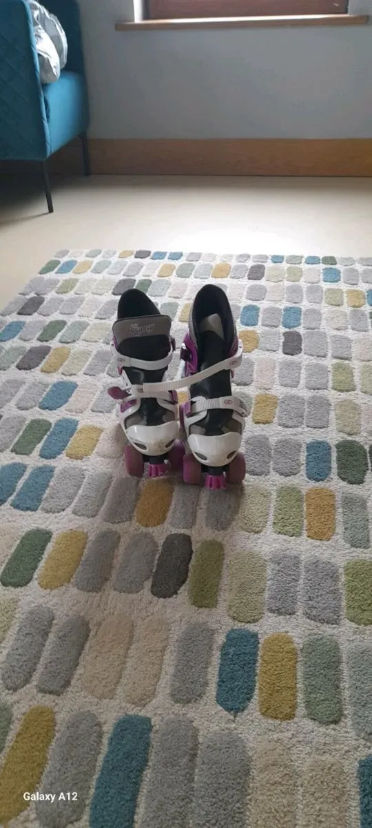 Skates - Image 2