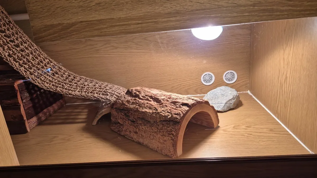 Vivarium - Image 2