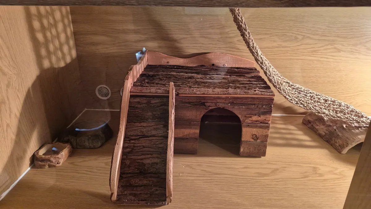 Vivarium - Image 3