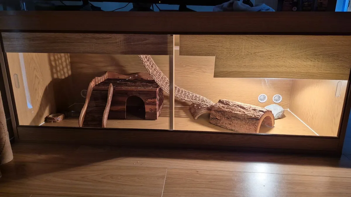 Vivarium - Image 4