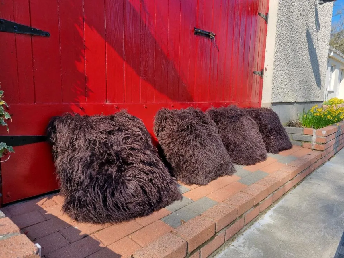 4 Large Mongolian Wool Cushions 20" x 20" - Image 1