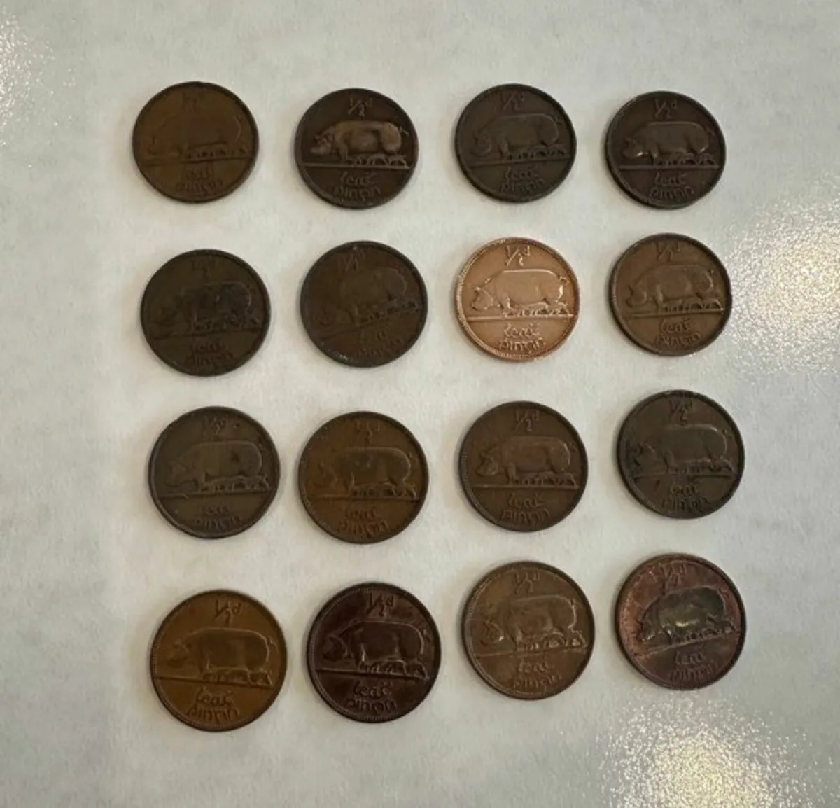 IRELAND.HALFPENNY.COMPLETED.CION.SET.1928.TO 1967. - Image 1