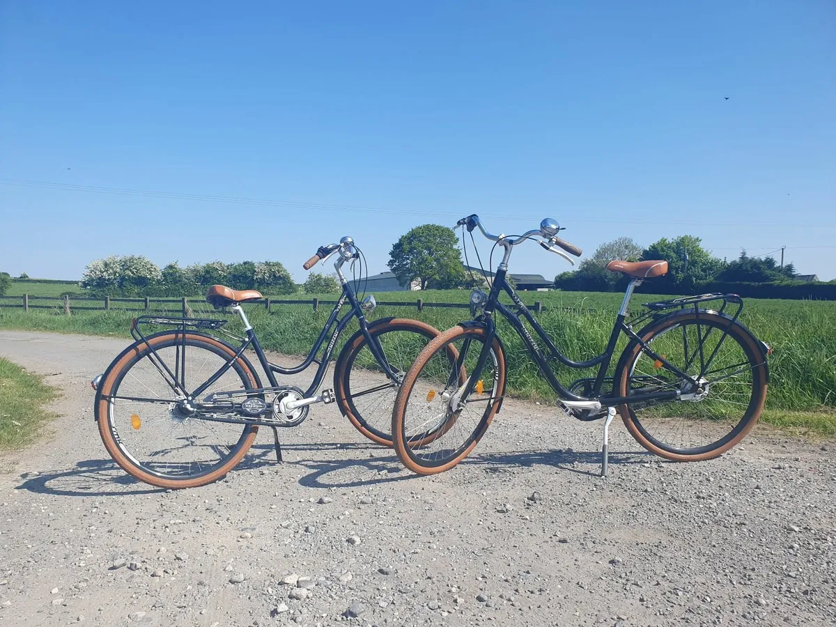 Two Kenzel ladies City Bikes with bike carrier - Image 2