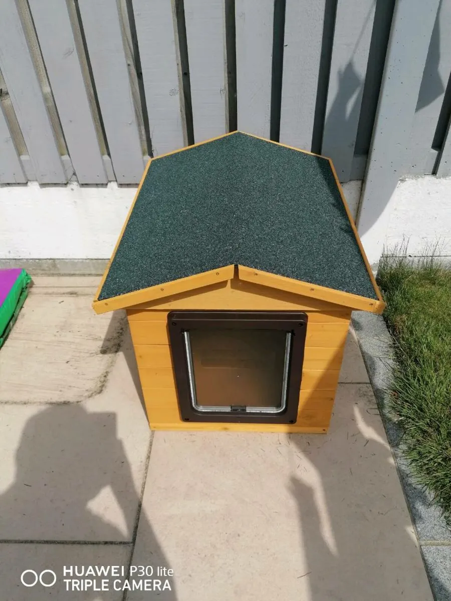 Dog House & Crate - Image 1