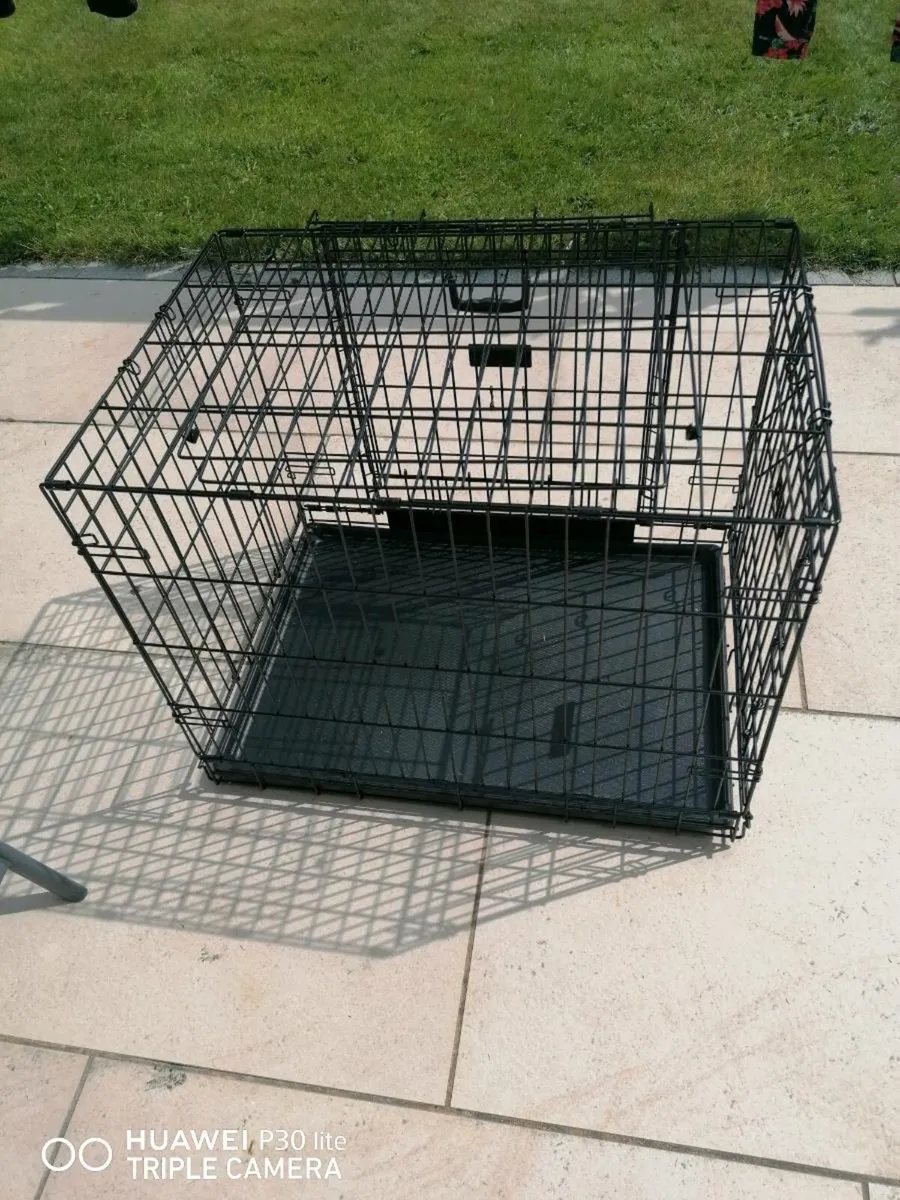 Dog House & Crate - Image 3