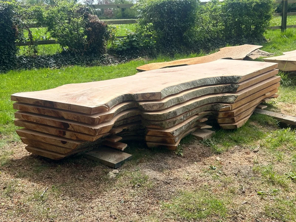 Live Edge solid Beech slabs - Image 1