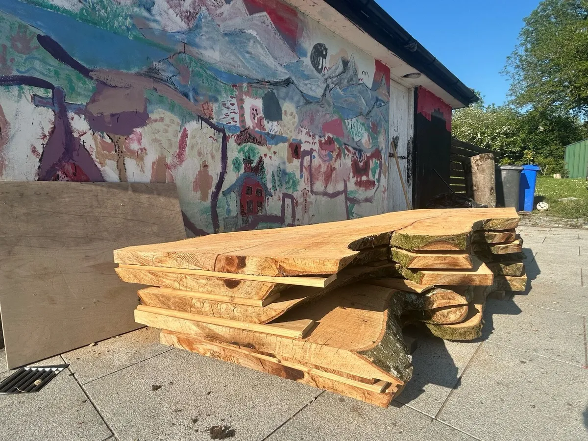Live Edge solid Beech slabs - Image 4