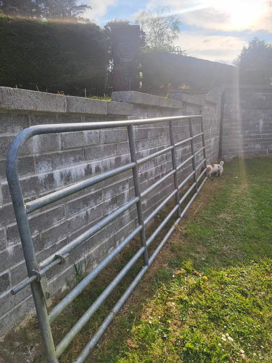 Farm Gate for sale - Image 1