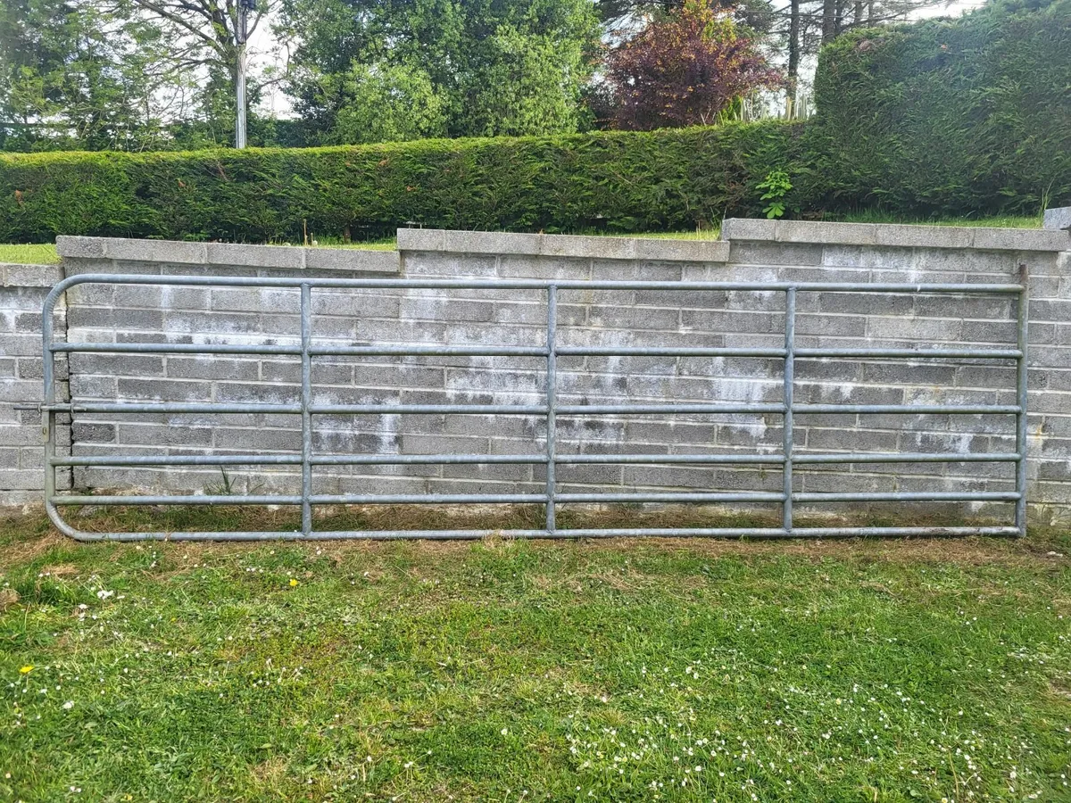 Farm Gate for sale - Image 2