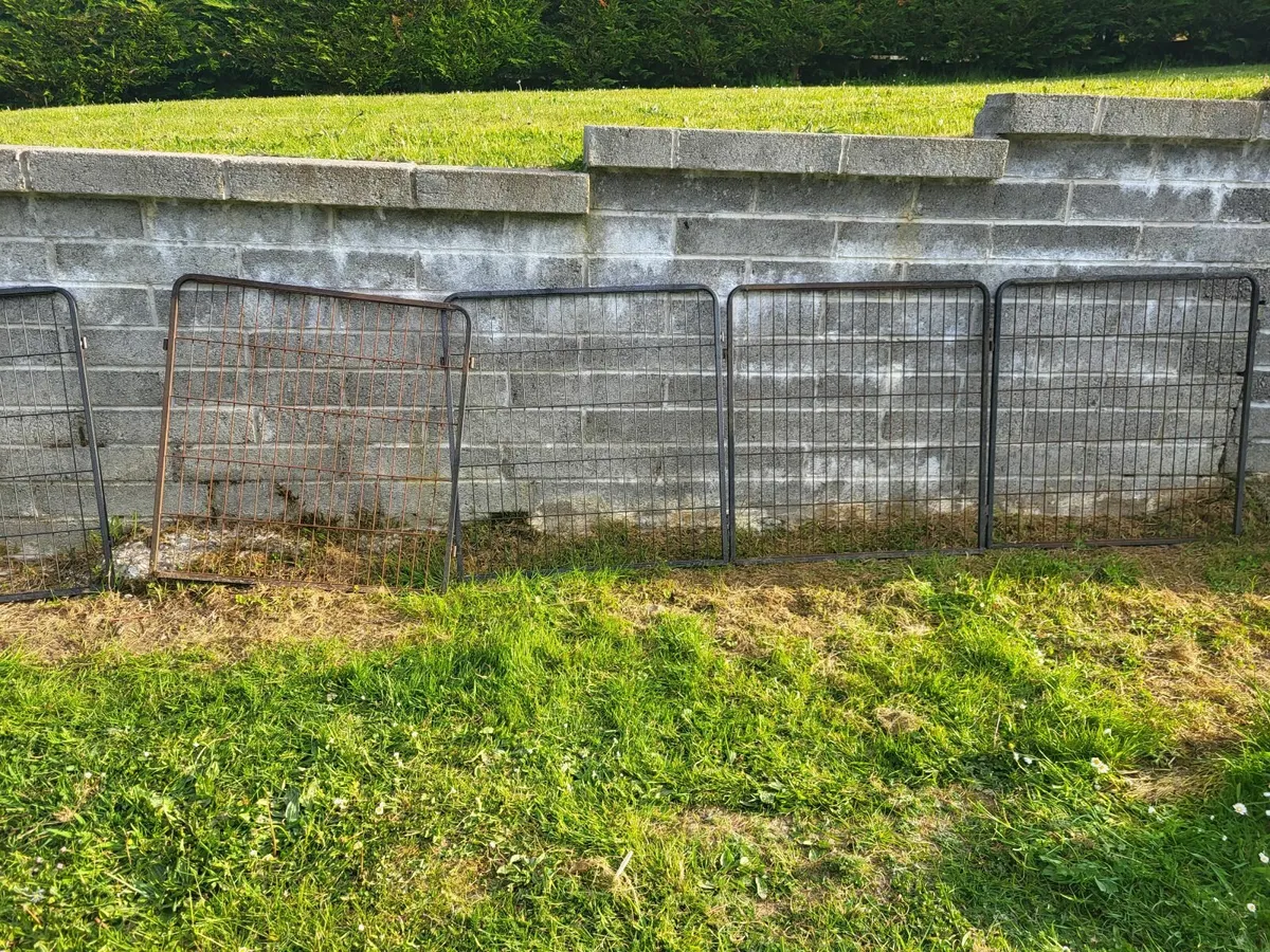 DOG KENNEL AND DOG TRAINING RUN - Image 3