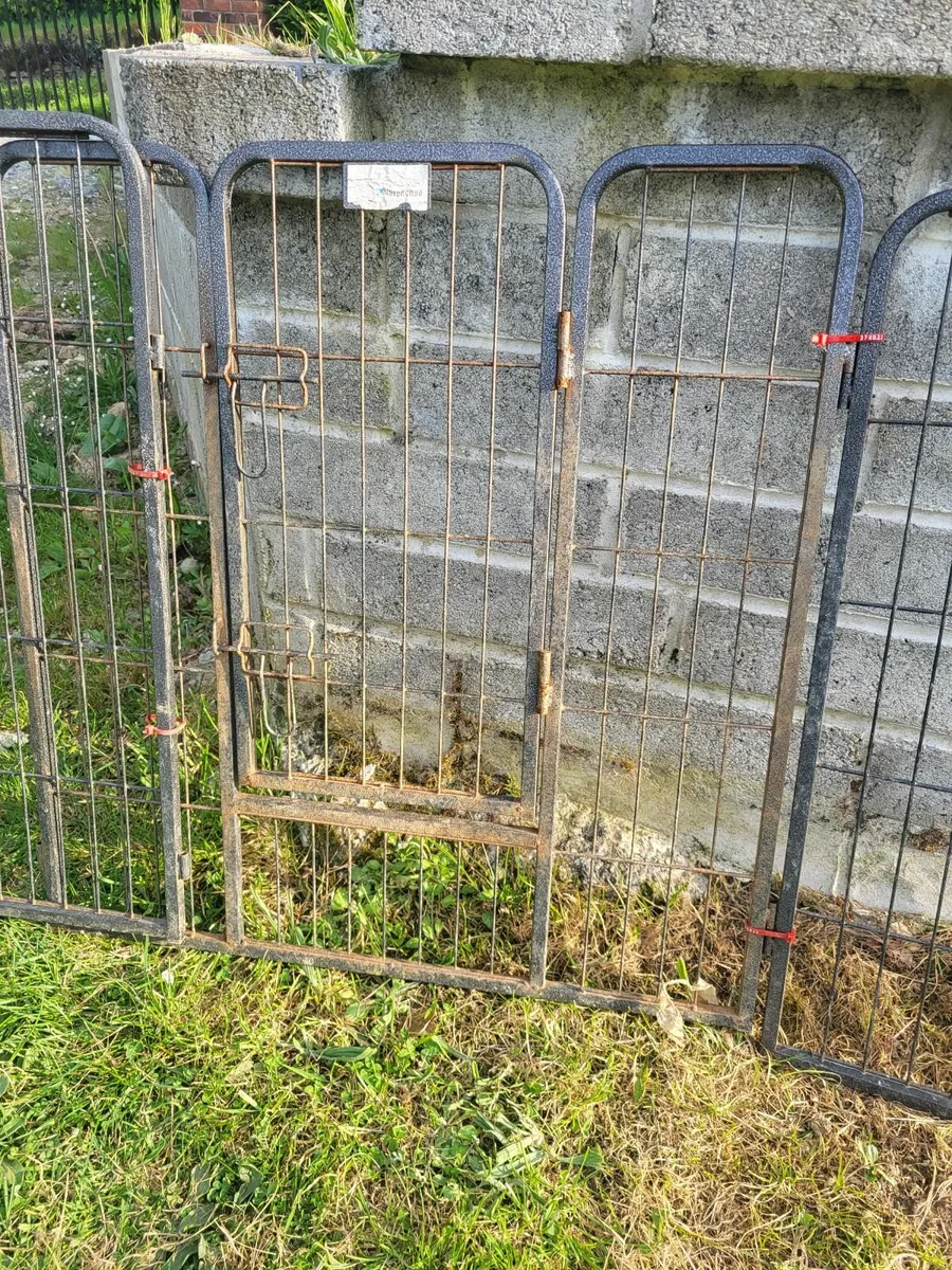 DOG KENNEL AND DOG TRAINING RUN - Image 4