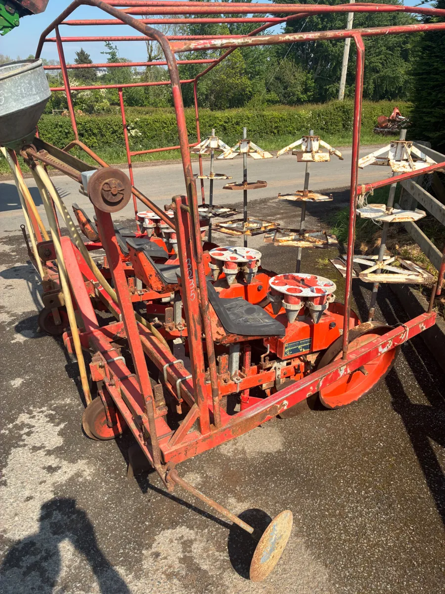 Chechi and Magili 4 row module planter - Image 1